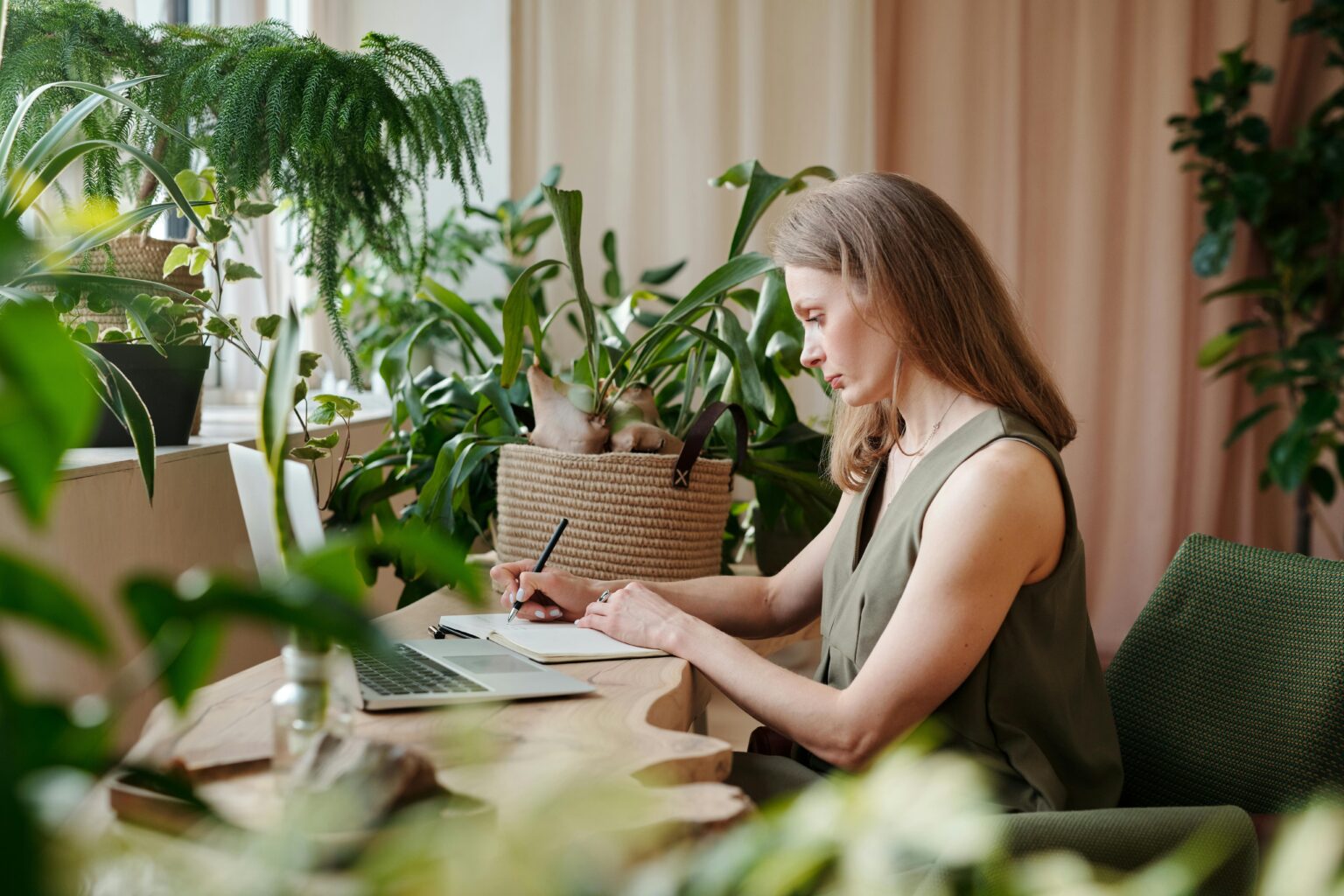 Guide: så i omgångar (successionssådd) jämnare skörd, mindre svinn och mer njutning