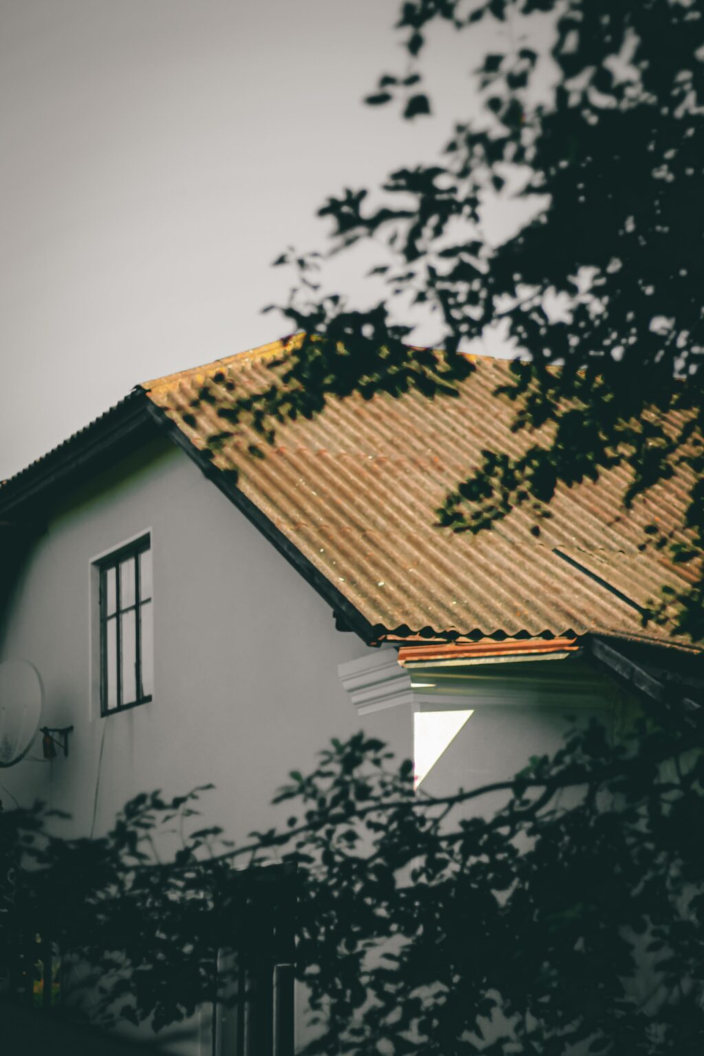 Så vet du att det är dags att tvätta taket – 7 varningstecken